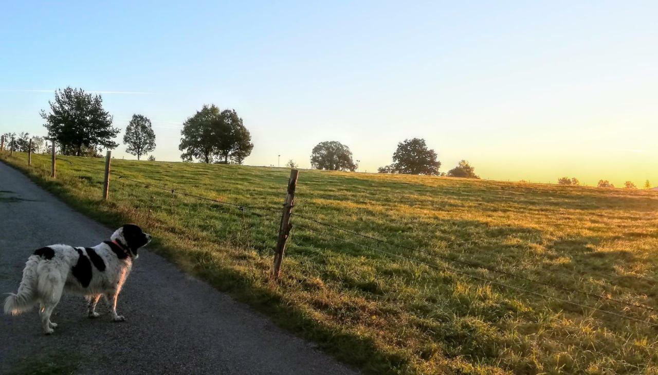 Ferienwohnung Hoyer Habach  Exteriör bild